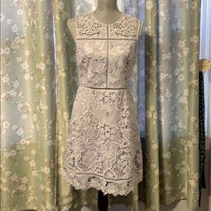 Ted Baker embroidered lace  dress sz 2 NWT